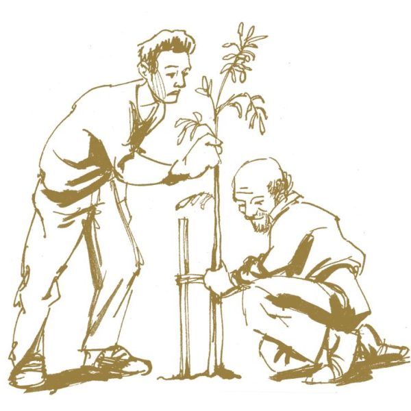 4